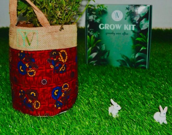Lavender Indie Grow Kit (Red)
