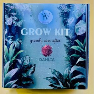 Dahlia Indie Grow Kit (Blue)