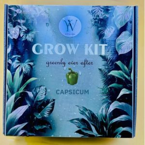 Capsicum Indie Grow Kit (Blue)
