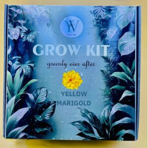 Marigold Grow Kit