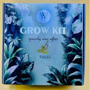Tulsi Indie Grow Kit (Blue)