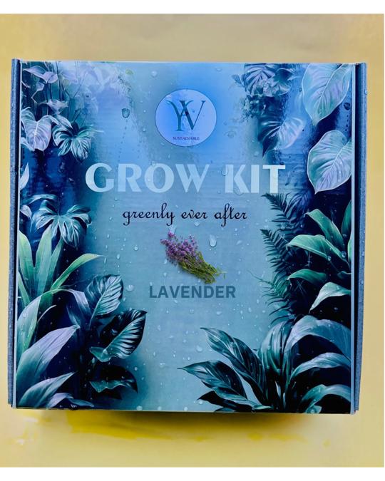 Lavender Indie Grow Kit (Blue)