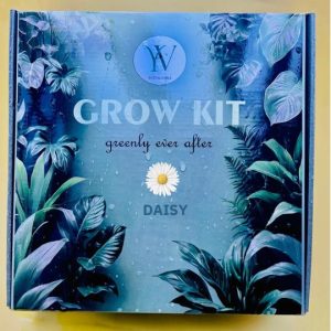 Daisy Indie Grow Kit (Blue)